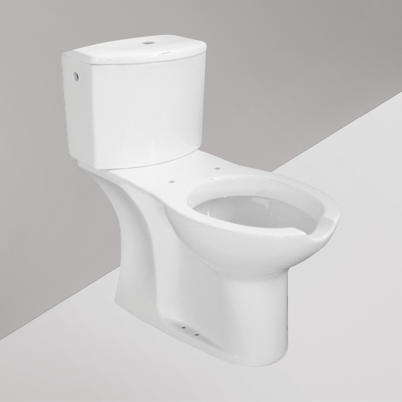 Ceramica Dolomite - D602701 - Vaso monoblocco a terra scarico universale – True